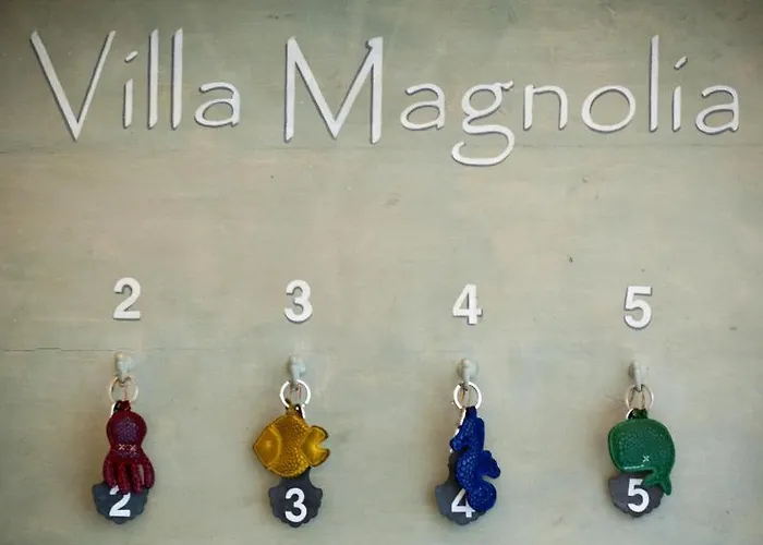 Bed & Breakfast Magnolia Relais Rome