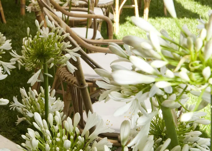 Magnolia Relais